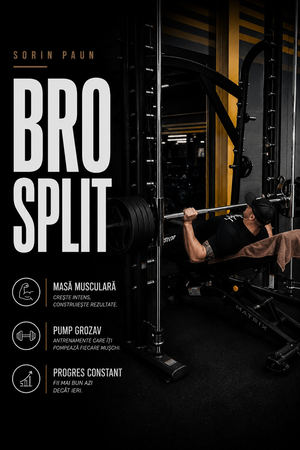 Bro Split